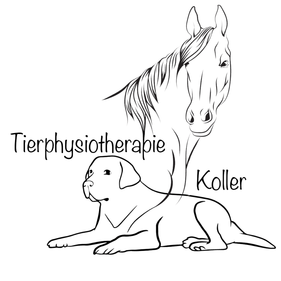 Tierphysiotherapie Koller